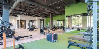 J Optimist Park Gallery 34