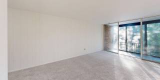 Fresh and ready 2Bed/1Bath - Close to Metro, Shopping, and Dining! Gallery 22