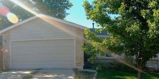 Discover Comfort and Elegance: Immaculate 4-Bedroom, 3-Bathroom Ranch Home Nestled in the Cotton Creek Neighborhood! Gallery 1