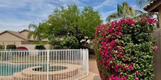 7798 E Buteo Drive Gallery 10