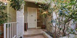 28370 Rey De Copas Ln Gallery 26