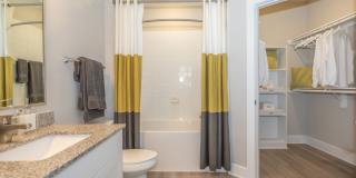 Territory at Greenhouse Gallery 10