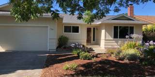 3 bedroom 2 bath Available Now! Gallery 1