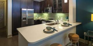 The Circuit Gallery 17