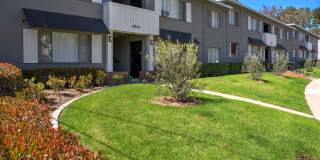 Lantana Hills Apartment Homes Gallery 16