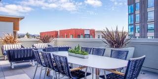 MacArthur Commons Gallery 3