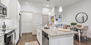 The Mark at Conquest I Gallery 19