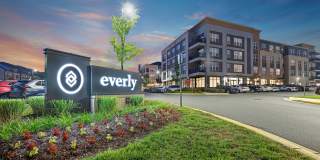 Everly Gallery 22