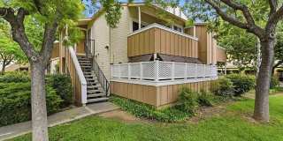 2386 Balme Dr Gallery 14