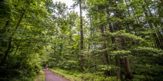 The Reserve at Fairfax Corner Gallery 38