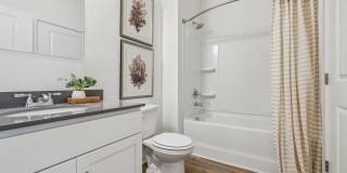 Hamlet Wildlight Gallery 12