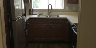 The Palms Gallery 11