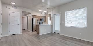 Olympus at Ten Mile Gallery 17