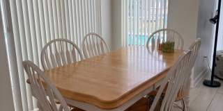 SAFETY HARBOR HONEY Gallery 8