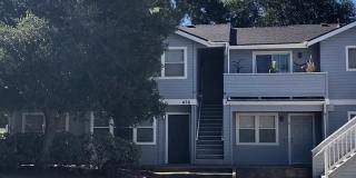 476 South Street, #C Gallery 1