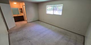 Gorgeous 3 Bedroom, 2 Bath home in great location Gallery 10