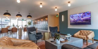 The Village Drey Gallery 52