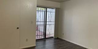 716 North Hayden Drive Gallery 13