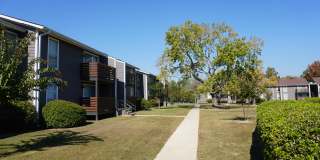 Raintree Apartments Gallery 5