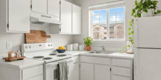 Deer Creek Gallery 43