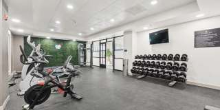 The Ainsley Gallery 21