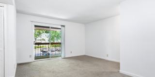 Laurel Ridge Gallery 2