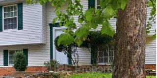 8115 Bald Ridge Drive Gallery 1