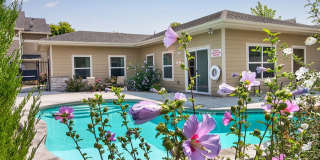 Cantabria Townhomes Gallery 1