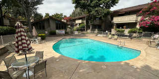 1 Bed 1 Bath Condo In Walnut Creek Gallery 11