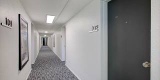 Lincoln Center Gallery 8