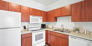 ReNue Downtown Gallery 11