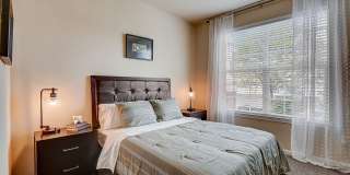 Springs at Egan Drive Gallery 10