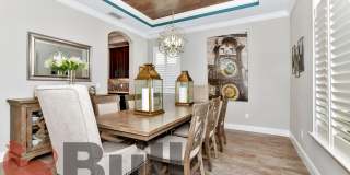 8233 Canetti Street Gallery 25