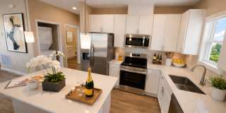 Viva at New Smyrna Beach Gallery 4