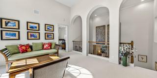 123 Sunesta Cove Drive Gallery 37