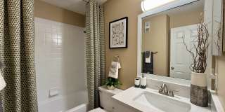 Vetra at Hamilton Place Gallery 8