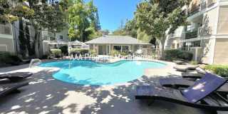 Walnut Creek Condo near Bart! Gorgeous 2 bedroom 2 bath in fantastic location! Walnut Creek Condo near Bart! Gorgeous 2 bedroom 2 bath in fantastic location! Gallery 21