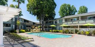 Pinebrook Apartments Gallery 13