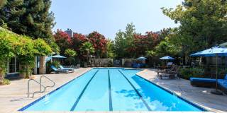 Watermark Place Gallery 7