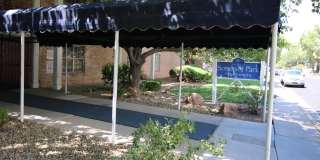 Somerset Park Gallery 33