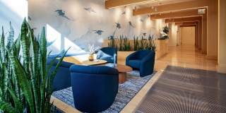 SKAIA Gallery 43