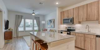 Alamo Residences at Spurs Lane Gallery 13