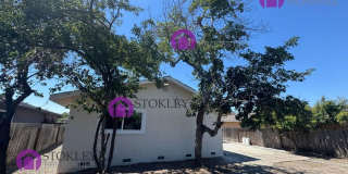 6346 Escallonia Drive Gallery 33