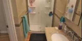 2206 Sarah Street Gallery 25