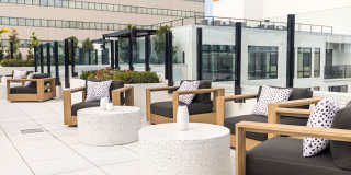 Aster & Links Gallery 19