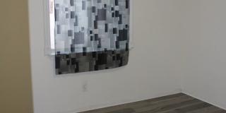 12477 SOMBRA FUERTE Gallery 8