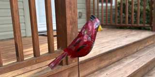 East Asheville - Contemporary Bungalow Gallery 4