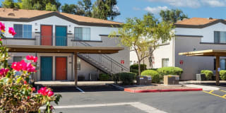 Morada Sky Gallery 9