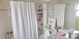 4 Bedroom, 3 Bathroom Impressive Lincoln Park Duplex Gallery 21
