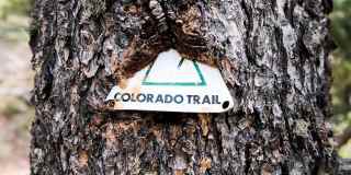 Fox Ridge Apartments Gallery 27